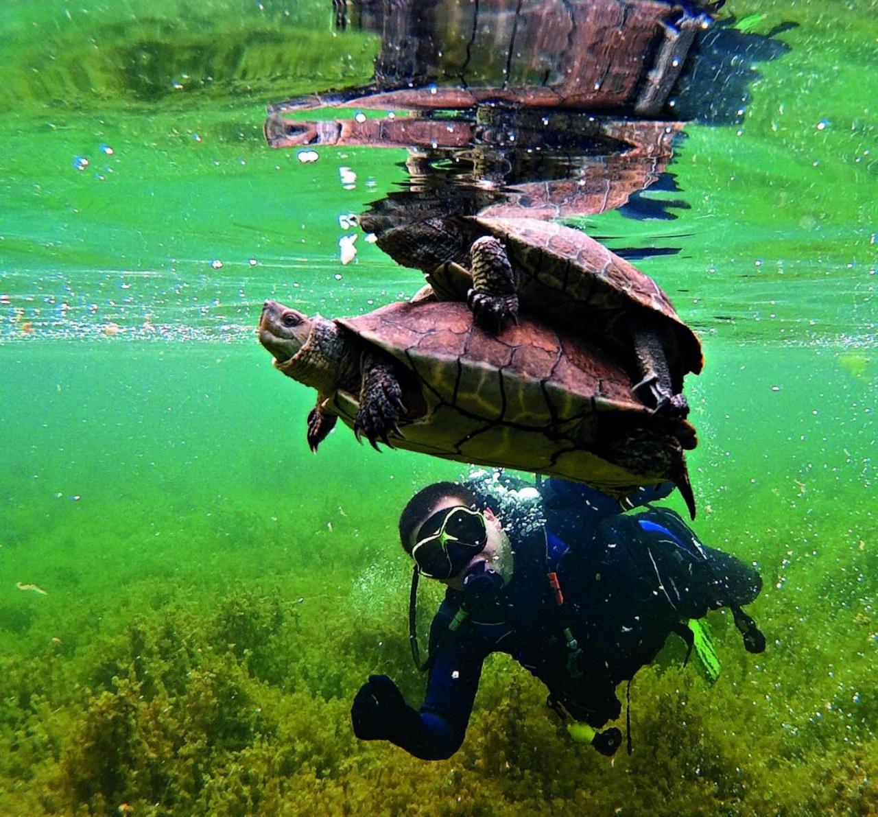 Villa Tranquila Lagunas De Ruidera Ossa de Montiel Exteriör bild
